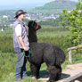 6. Alpakatrail in Zinnwald, Mai 2009