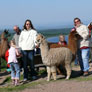 6. Alpakatrail in Zinnwald, Mai 2009