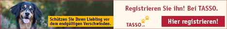 bei Tasso registrieren