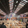2. Alpaca Show in Hapert / Holland
