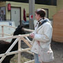 2. Alpaca Show in Hapert / Holland