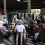 2. Alpaca Show in Hapert / Holland