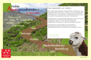Alpaka Tierarzt, spezialisiert auf Alpaka und macht Touren durch ganz Deutschland.