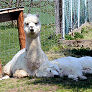 Peppi und Donna